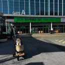 멍테일즈 | 2026 대전 케이펫페어 펫박람회 주차 정보 및 강아지유모차 로얄테일즈 참가 업체 방문 후기