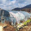 포전리마을회관 이미지