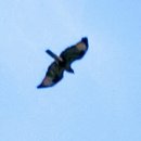 THE쉼오토캠핑장 이미지