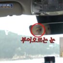 미주농장 이미지