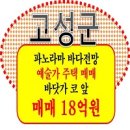 바닷가언덕 민박 이미지