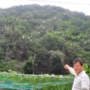 백로마을 이미지