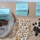 김기성 농장 이미지