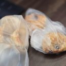 야호만두 이미지