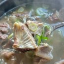 24시경희궁 | 부천 갈비탕 맛집 24시 경희궁 점심 내돈내산