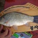 자인대물낚시 이미지