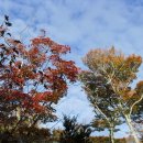 11월11-12(수,목)제주 올레트레킹및 한라산 산행신청 이미지