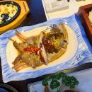 로타참치