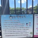 가평 빠지 여름 물놀이 가평 남이성 리알토 스파 수영장 펜션, 욜로 수상 레저 후기