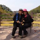 법수초등학교 이미지