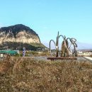 형제해안로 이미지