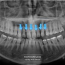 서울쏙쏙치과의원 이미지