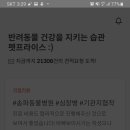 반려동물병원 이미지