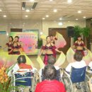 벨리댄스 이미지