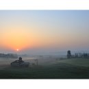 안성농장 이미지