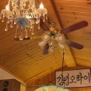 김녕오라이