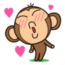 쥬디자인
