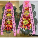늘사랑치과의원 이미지