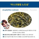 가더펫 | 노견 플라그 치석 잇몸건강 입냄새 영양제 오라클펫 후기