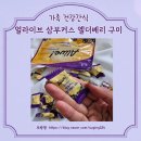 구미 | 가족 건강 간식 얼라이브 삼부커스 엘더베리 구미 후기