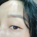 초망래쉬