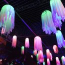 205-3-000001 이미지