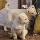 안이하우스 이미지