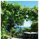 쉼이있는풍경 이미지