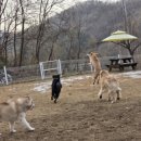 박순호의 아이슬란드 이미지