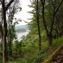 안천정류소 이미지