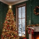 울알라애견미용 이미지