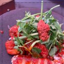 쭈꾸미도사 이미지