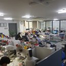 덴탈맑음 이미지