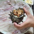 공룡알 팬션 횟집 이미지