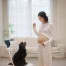 디자인쥬뜨