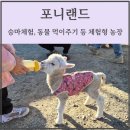 장수승마장 | [일상] 울산 아이와 가볼만한 곳 : '포니랜드' 제대로 즐기는 팁 (아기양 우유주기 체험 및 승마체험후기)