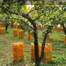 산주농장 이미지