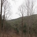 비슬산둘레길 7구간 이미지