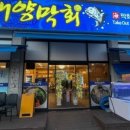 해양막회