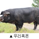 축진농장 이미지