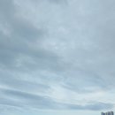 신명낚시 | 울산 블루마시티 신명해변 걷기, 바다낚시 많이들 하네요