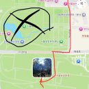 서울숲길 | 서울숲 밤 벚꽃길 짧은 후기(260402)