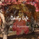 한아름세탁소 | [일상] 2025년 11월 초중순의 나날들 (더현대서울 아틀리에 드 노엘, 발루토피비, 메르씨삐삐, 유주키친...