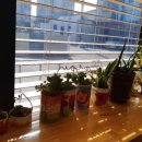 사회적협동조합 마을애 이미지