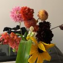 유픽(U-PICK) | 캐나다 여름 이색 체험 이벤트, 플라워 유픽(Flower u-pick) - Sage and Solace farm 후기, 티켓 가격