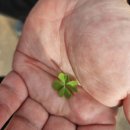 아이러브공원 족구장+농구장 | 해운대수목원 부산 아이랑 가볼만한곳 무료공원 주차 정보 후기