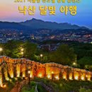 (테마투어)야경투어 이미지