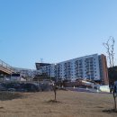 단양축협 앞 | [리조트 숙소] 소노벨 청송 스위트클린룸 추천 후기 - 방2,거실1,화장실2 후기 네이버예약