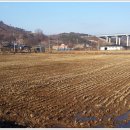임실치즈마을