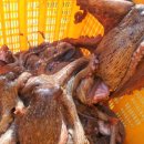 해맞이펜션민박 이미지